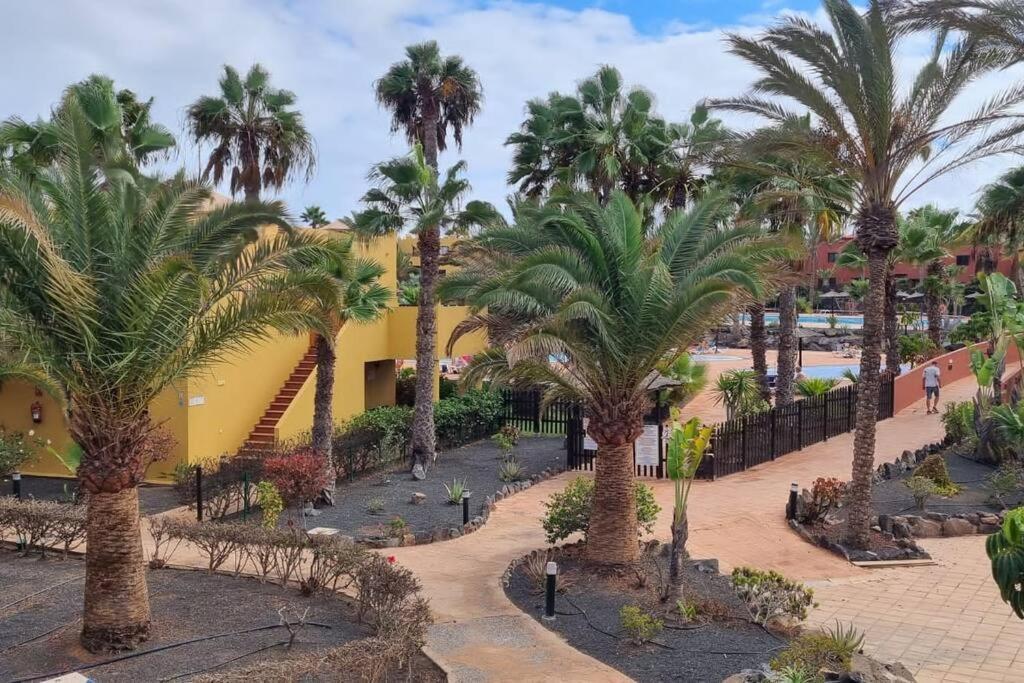 Appartamento Bouganville Con Terrazza E Piscina Corralejo Exterior photo